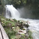 Il Sogno Di Bea Daire Terni